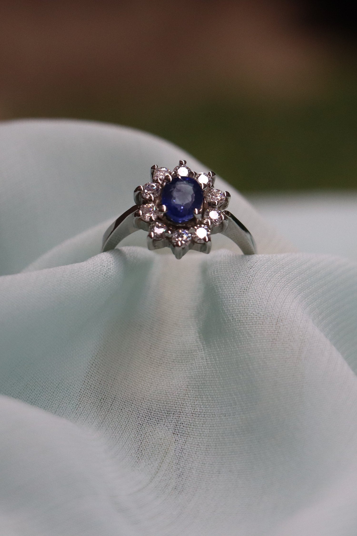 Sovereign Splendor | Forbidden Collection